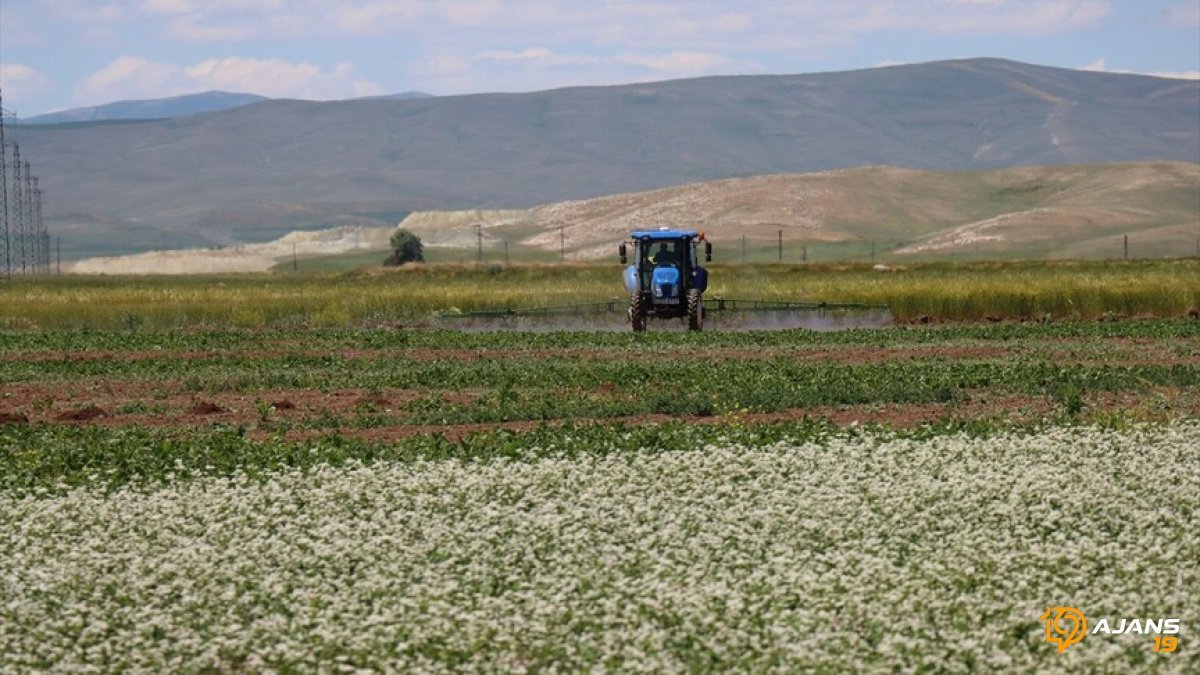 Erzincan Tarımında Devrim: Karakılçık Buğdayı ve Pelemir İle Üretimde Yüzde 30 Zıplama Kapıda!
