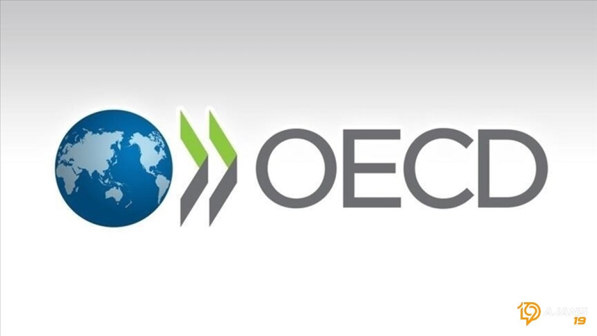 Küresel İş Gücü Tehlikede Mi? OECD'den Çarpıcı Analiz: Dayanıklılık Bitiyor, Zayıflama Kapıda!