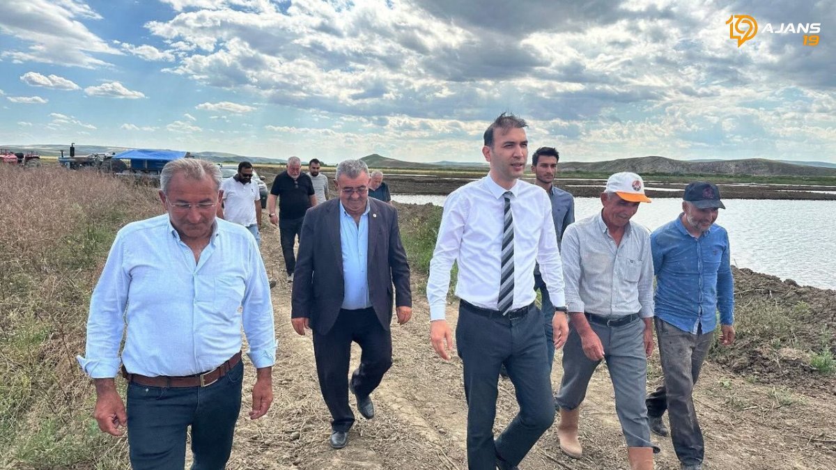 Binlerce Yıllık Gelenek Canlandı: Uğurludağ'da Çeltik Hasadının Sırları Ortaya Çıkıyor!