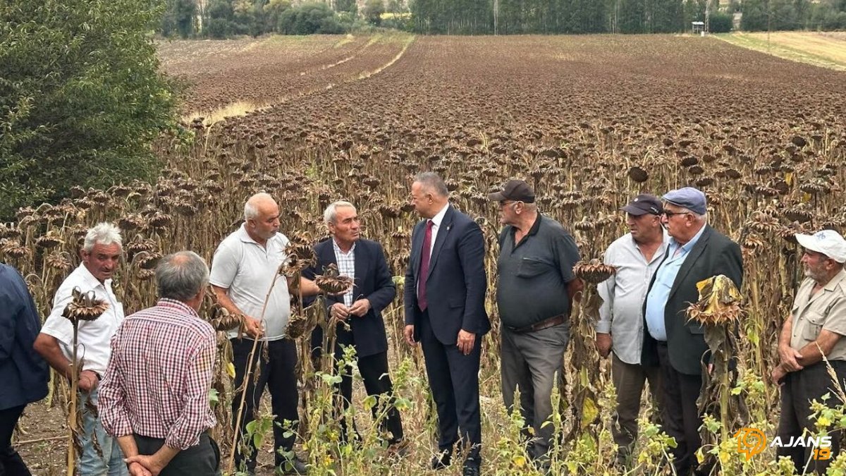 Tahtasız: “Çiftçinin cebinden elinizi çekin”