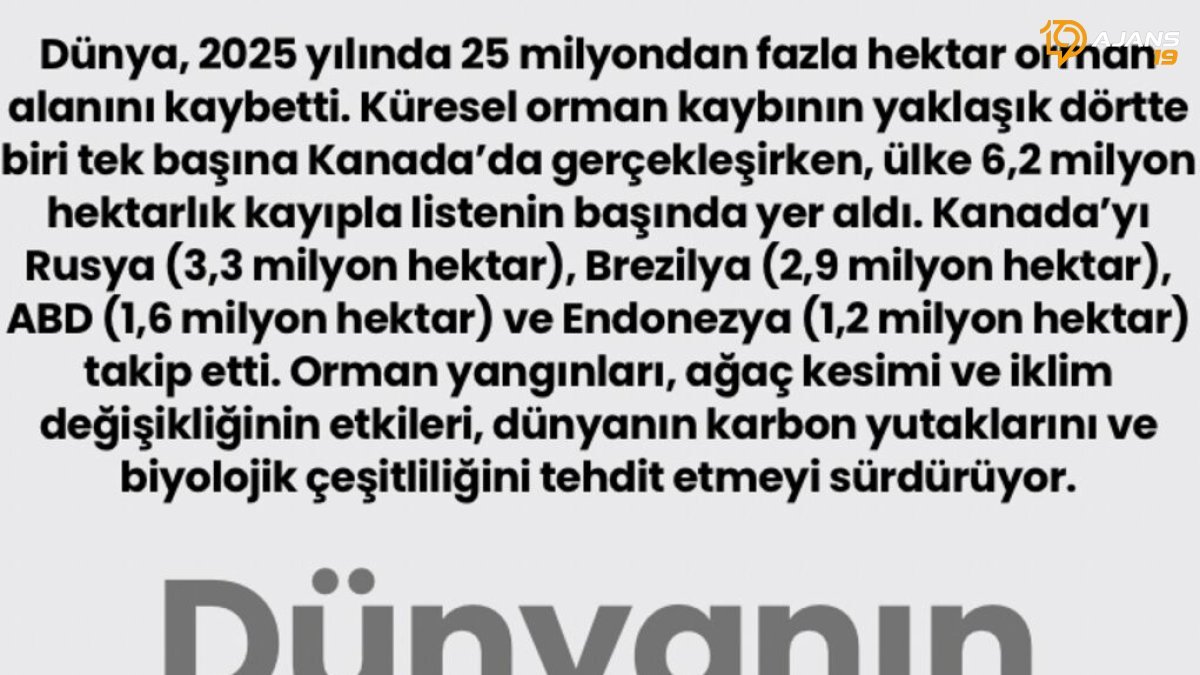 Kanada'da Tüyler Ürperten Kayıp: Dünyanın 'Yeşil Kalbi' Tehlikede!