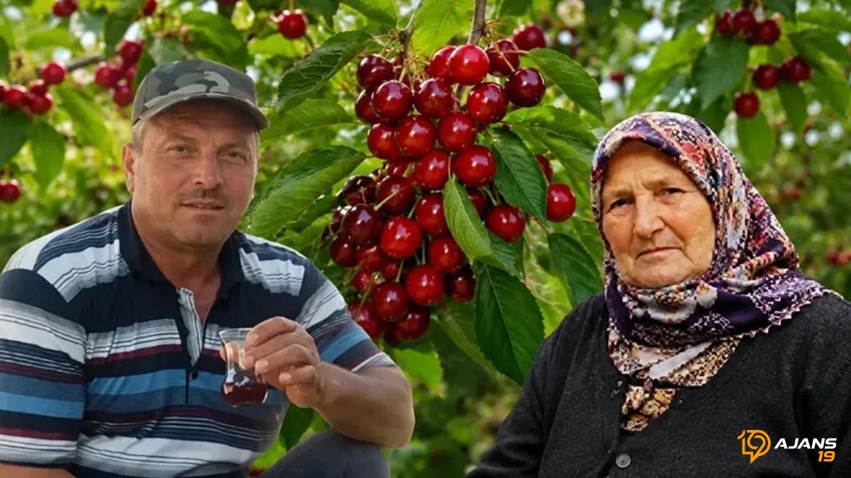 Kirazın Gizemi Çözülemedi: Bir Can Daha Kayboldu! Tosya'da Yaşam Zinciri Koptu...