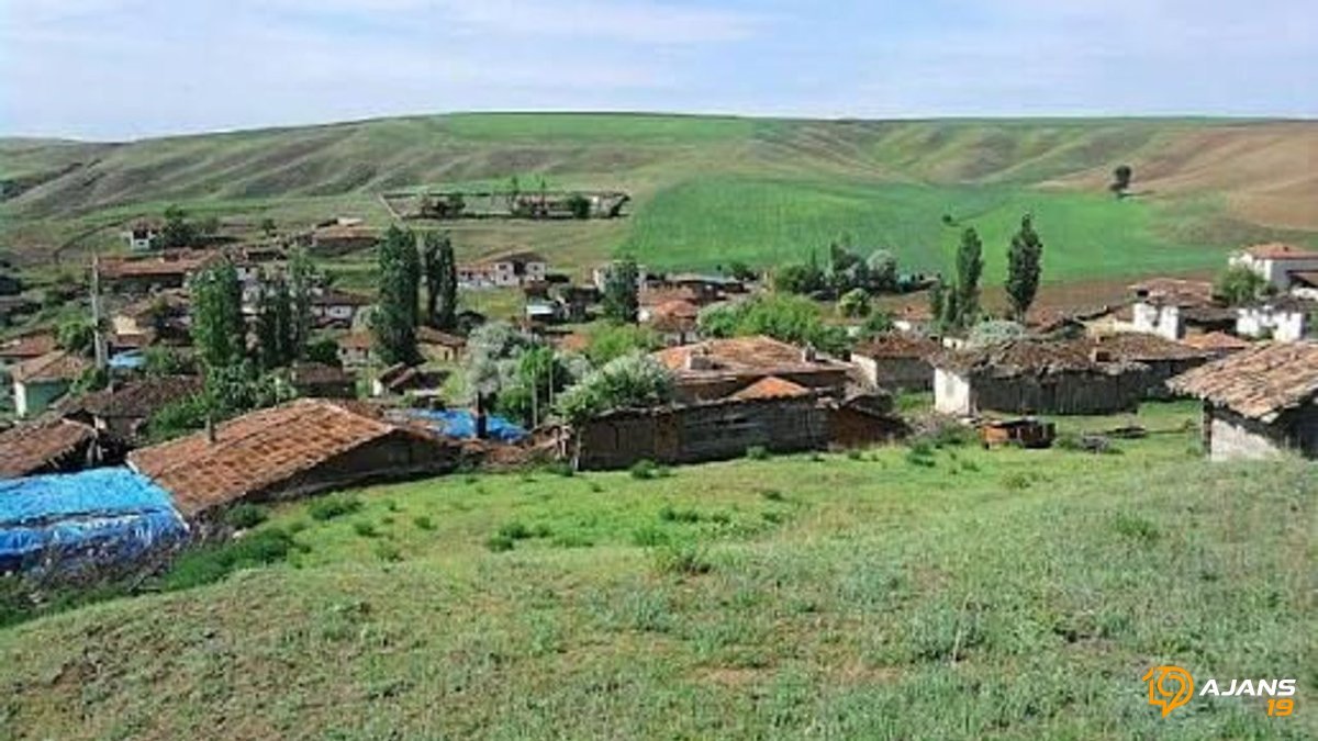 Çorum'da Toprak Sahiplerini Sevindirecek Dev Adım: 6 Hazine Arazisi Göz Kamaştıran Fiyatlarla Satışa Çıktı!