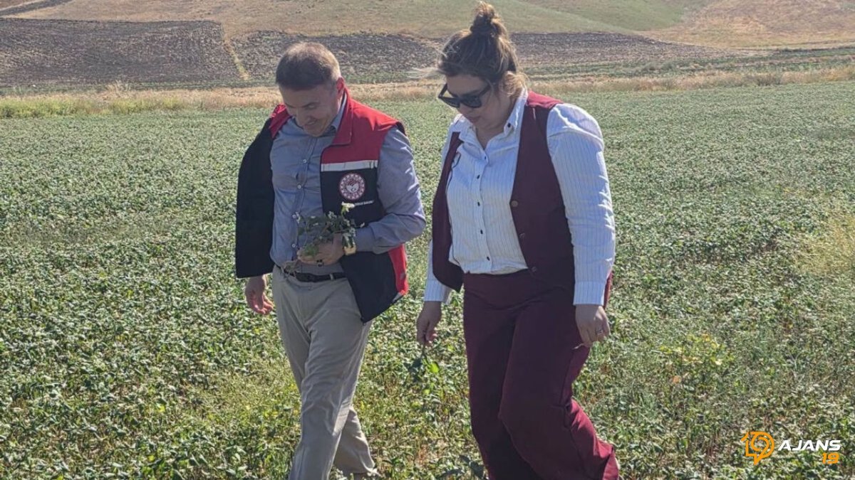 Karabuğdayda Kritik Dönem: Üreticiler ve Pazar Yakından İzleniyor!