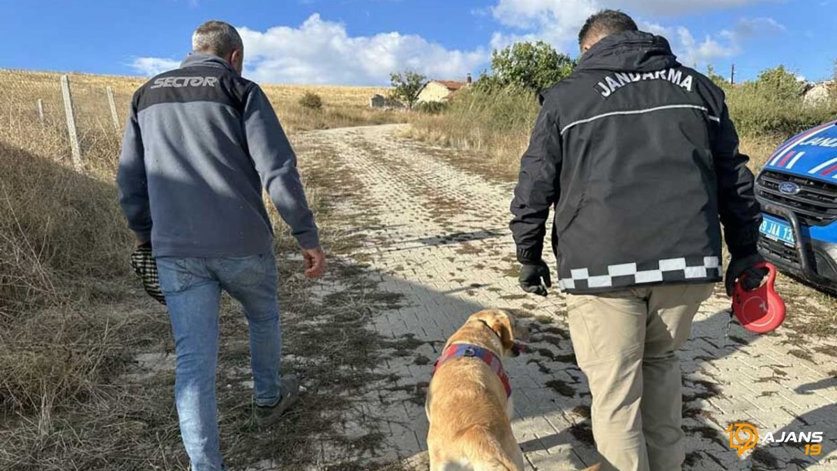 9 Saatlik Nefes Kesen Arama: Alzheimer Hastası Güllü Teyze Kayboldu, Son Anda Kurtarıldı!