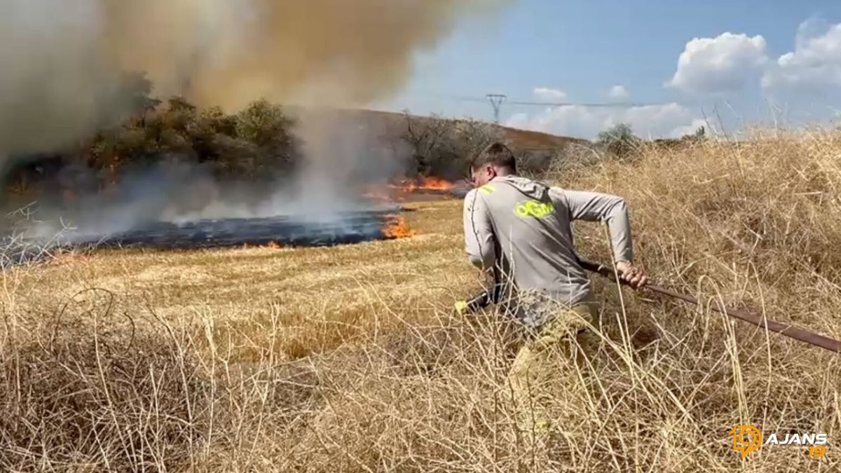 Çorum'da Kontrolden Çıkan Anız Ateşi Can Aldı: 400 Dekar Orman Yok Olma Tehlikesi Atlattı!