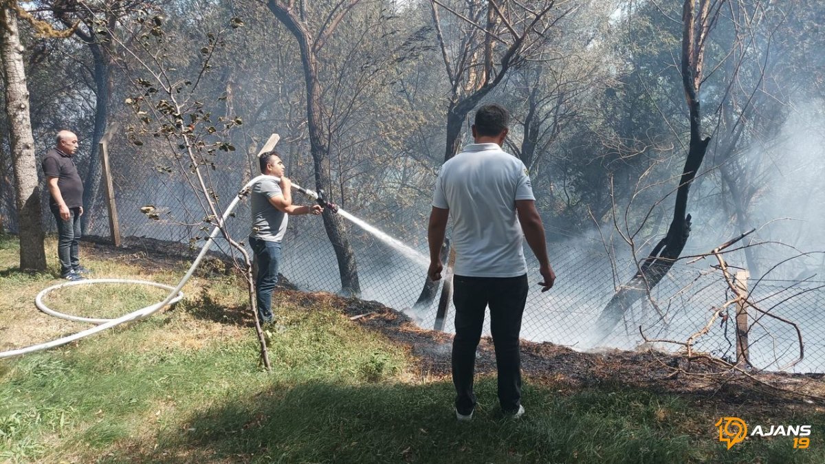 Tarlada Çıkan Dehşet: 100 Can, Alevlere Teslim Oldu!