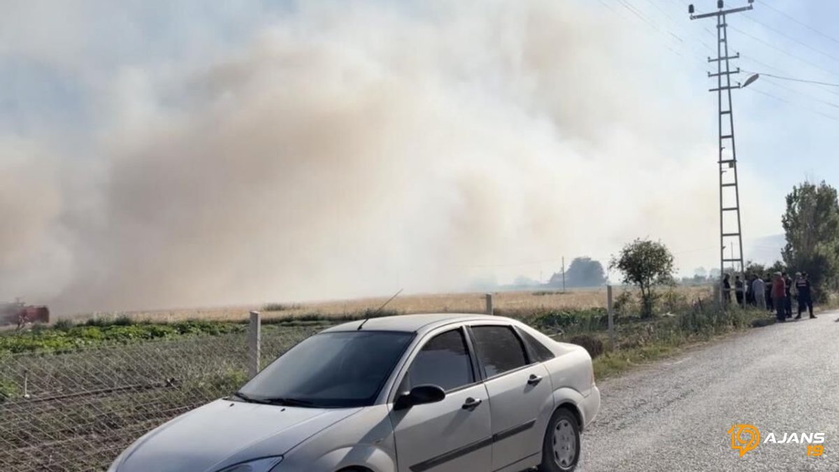 Çorum'da Tarlada Kontrol Yaman Yangın: Ekiplerin Hızlı Müdahalesiyle Facia Önlenemedi mi?