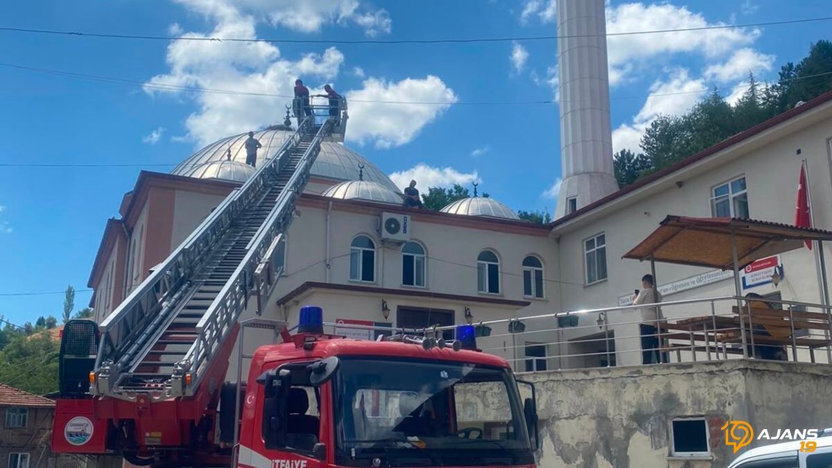 Gökyüzünden Gelen Acı Çığlık: Yavru Leylek Yuvasına Mucizevi Bir Şekilde Döndü!