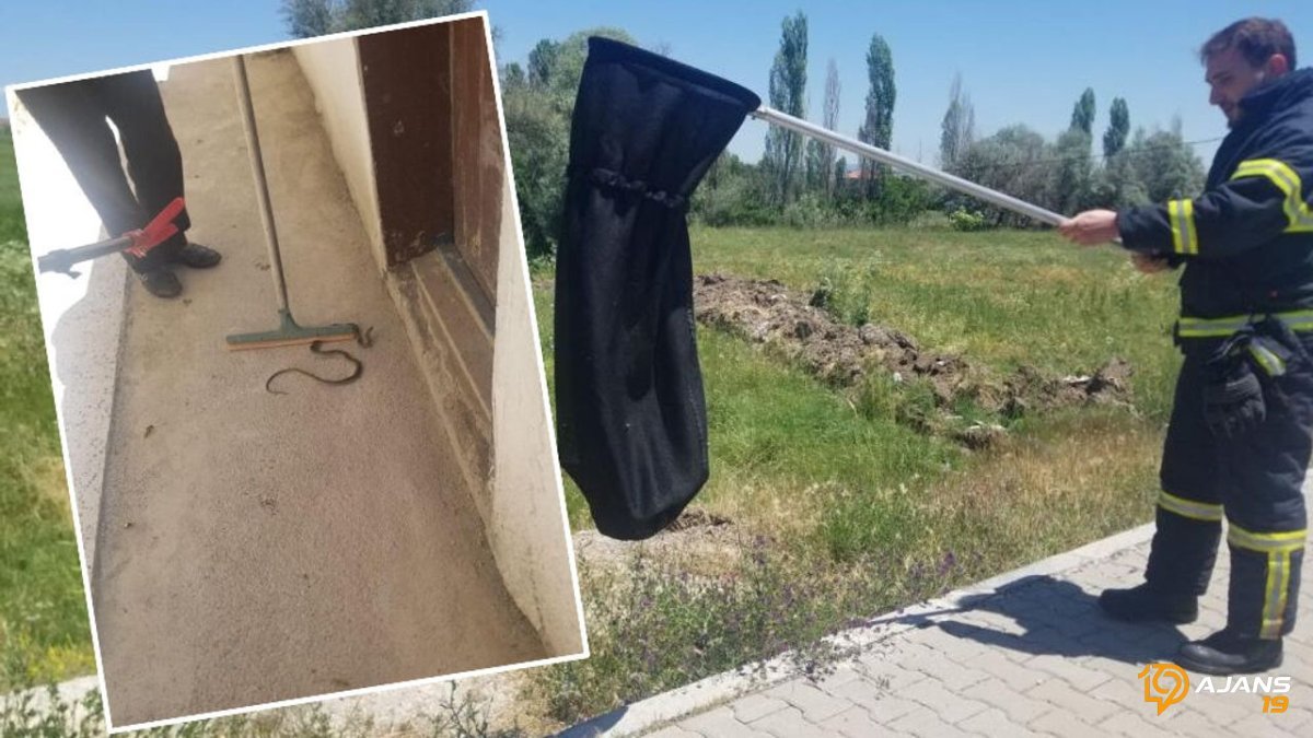 Evini Savaş Alanına Çeviren Misafir! Yılana Karşı Nefes Kese Rekabeti Sonucu Şaşkına Çevirdi!