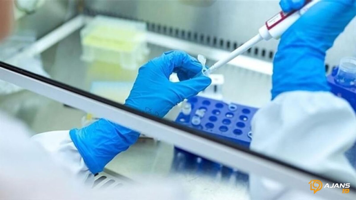 TÜRK BEYİNLERİNDEN DÜNYAYA DEV ADIM: Dış Gebelik Tehlikesine Yapay Zeka Kalkanı!
