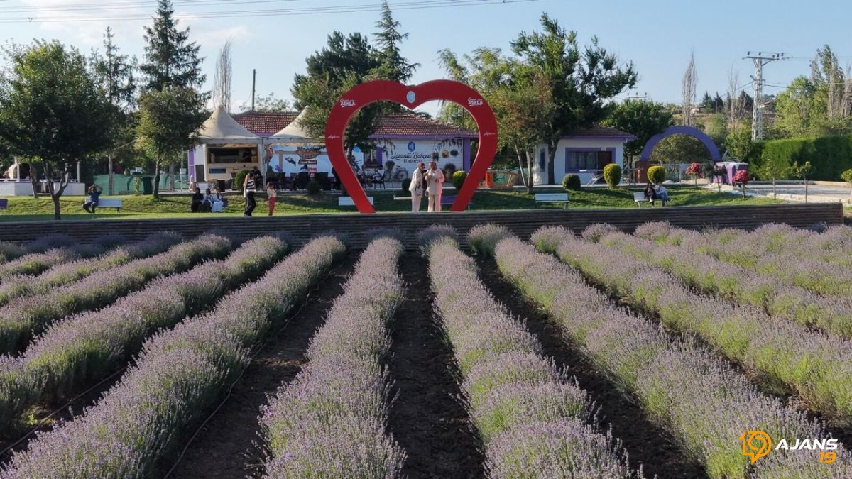 Çorum'da Mor Renk Cümbüşü Başladı! Çomar Barajı Havzası Saklı Cennetiyle Büyülüyor