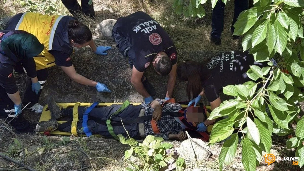 Kiraz Ağacından Akıl Almaz Düşüş: Yaşlı Adamın Çılgın Kurtarma Operasyonu