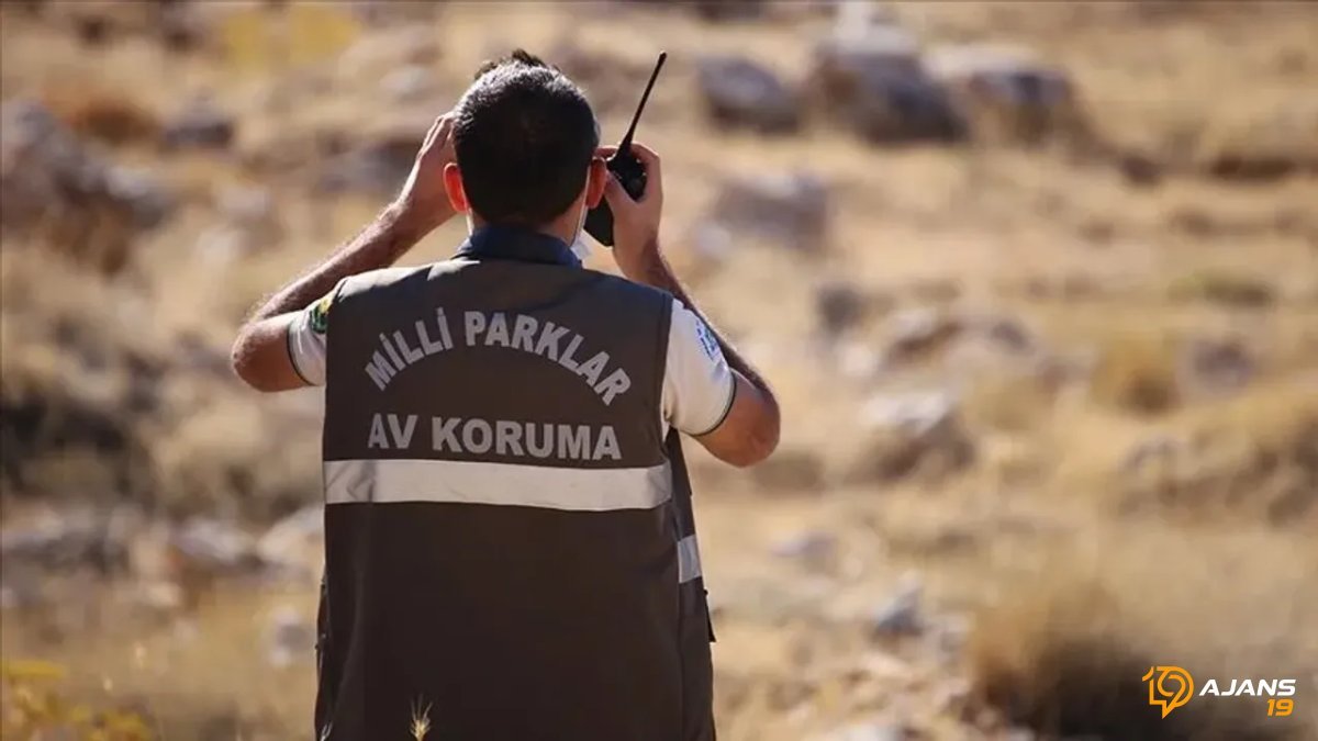 Çorum'da İstihdam Kapısı Açılıyor: Doğa ve Milli Parklar 7 Personel Arıyor! Şartlar ve Başvuru Detayları Burada