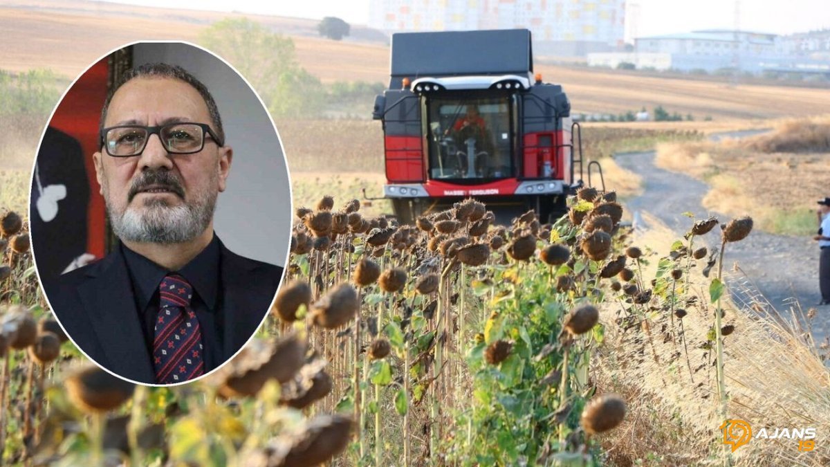 Ayçiçeği Çiftçisinin Yüzü Güldü! Yeni Sezon Fiyatı Dudak Uçuklattı: Ton Başına Rekor Zam!