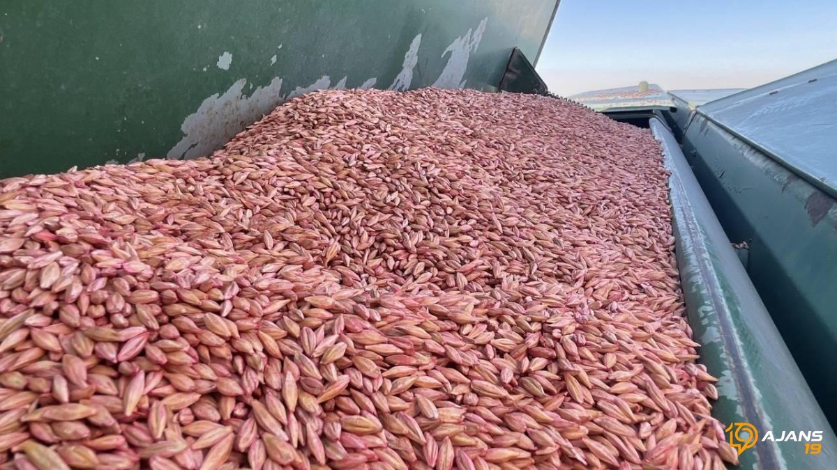 4.8 Milyar Dolarlık İhracat Başarısı: Türkiye'nin Gözdesi Hububat 211 Ülkeyi Fethetti!